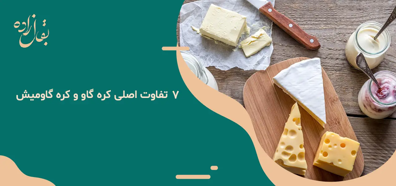 کره گاو بهتر است یا کره گاومیش 4 کره گاو بهتر است یا کره گاومیش