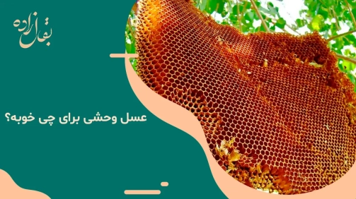 عسل وحشی برای چی خوبه