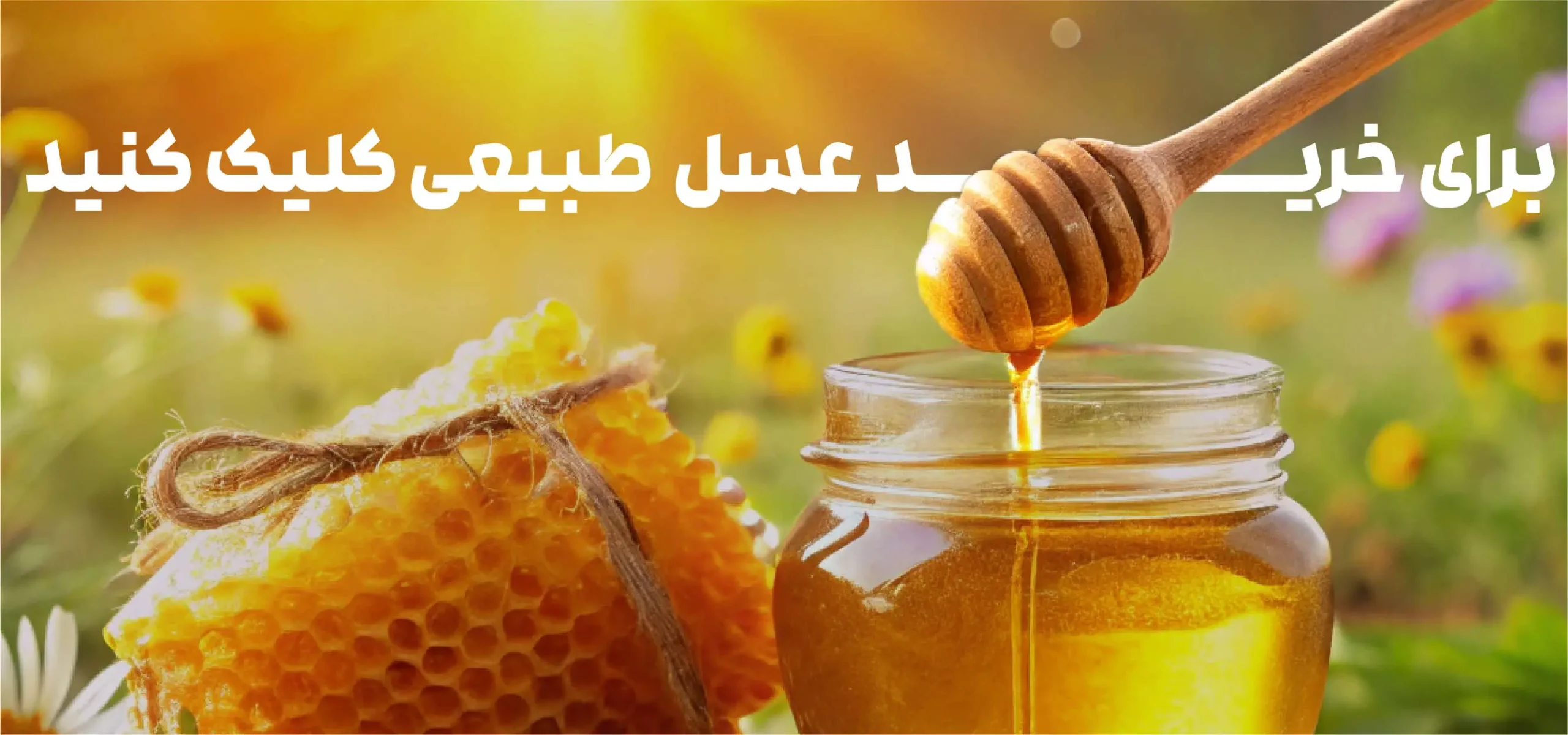 تشخیص عسل طبیعی از تقلبی 5 خرید عسل