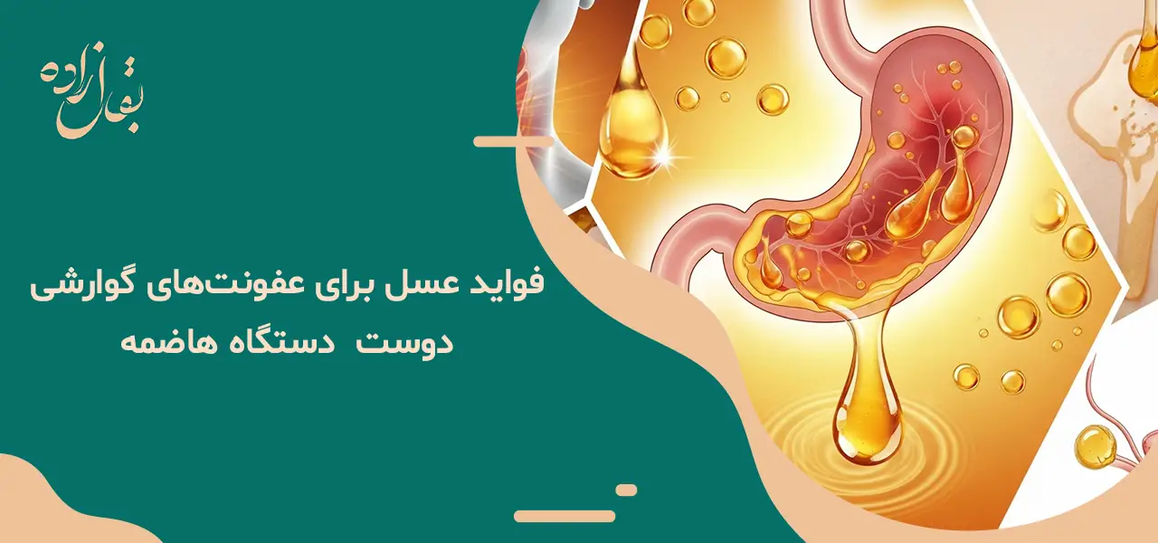 فواید عسل برای عفونت بدن 1 فواید عسل برای عفونتهای گوارشی: دوست دستگاه هاضمه