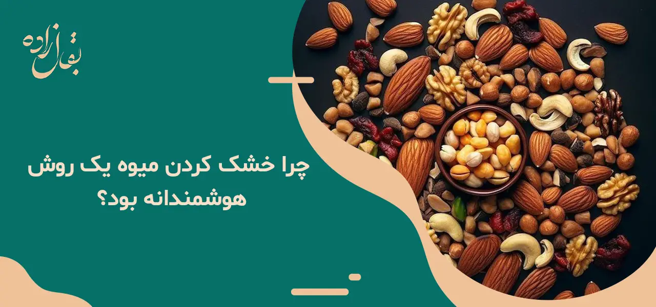 چرا خشک کردن میوه یک روش کاربردی بود؟