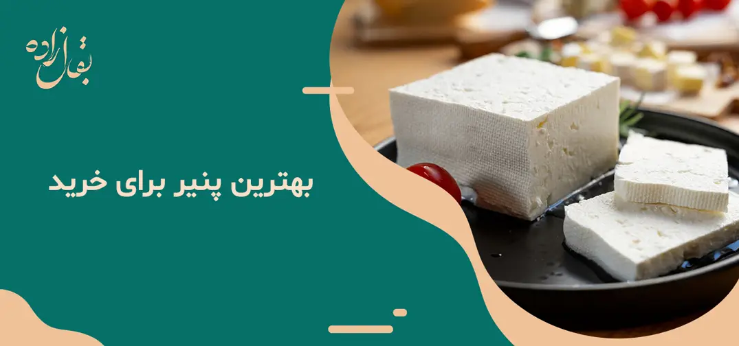بهترین پنیر برای خرید