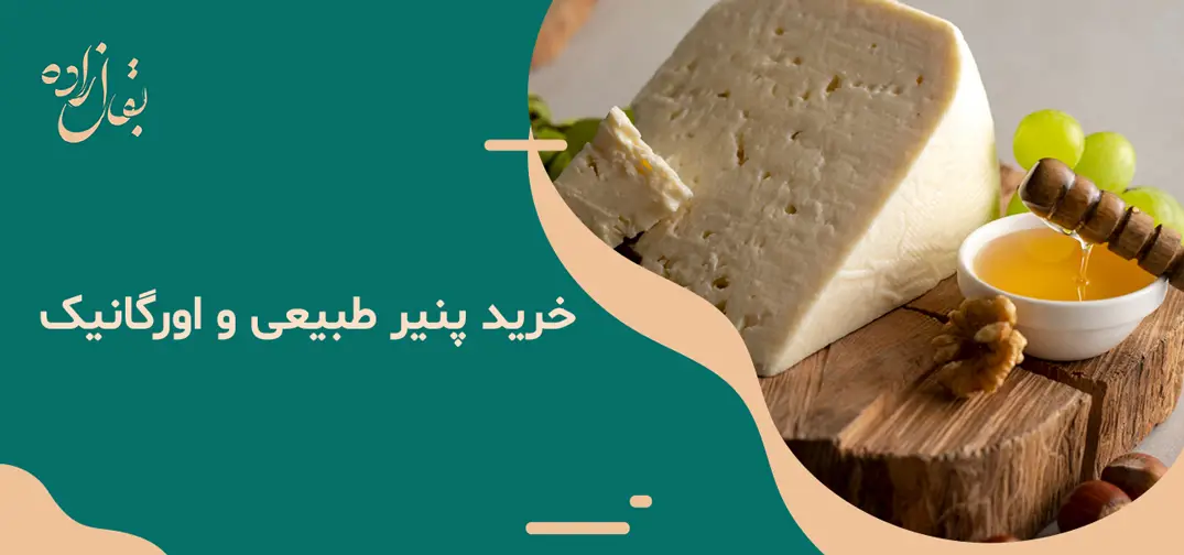 خرید پنیر طبیعی و اورگانیک