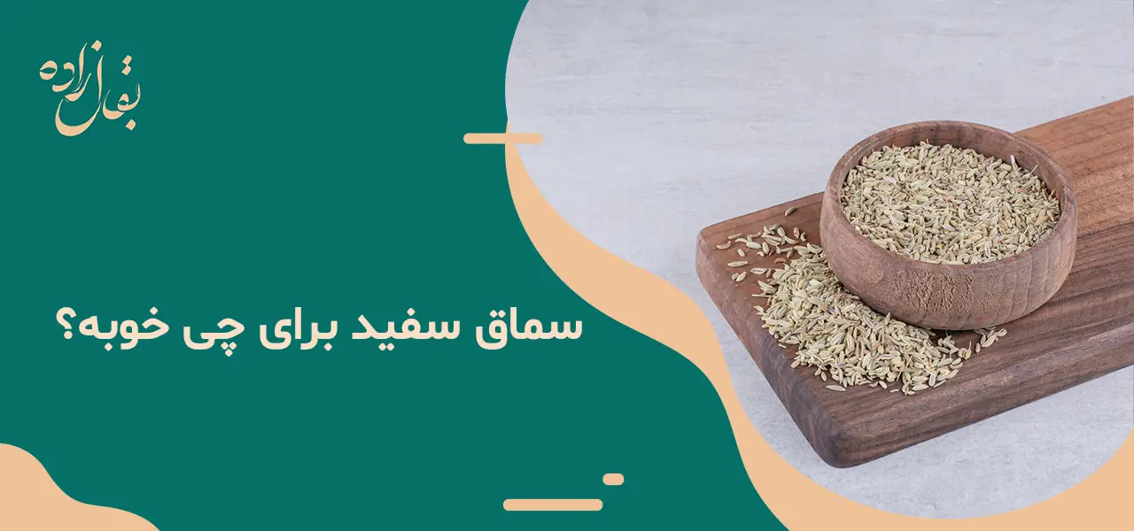 معرفی +10 خواص سماق سفید 3 سماق سفید برای چی خوبه؟