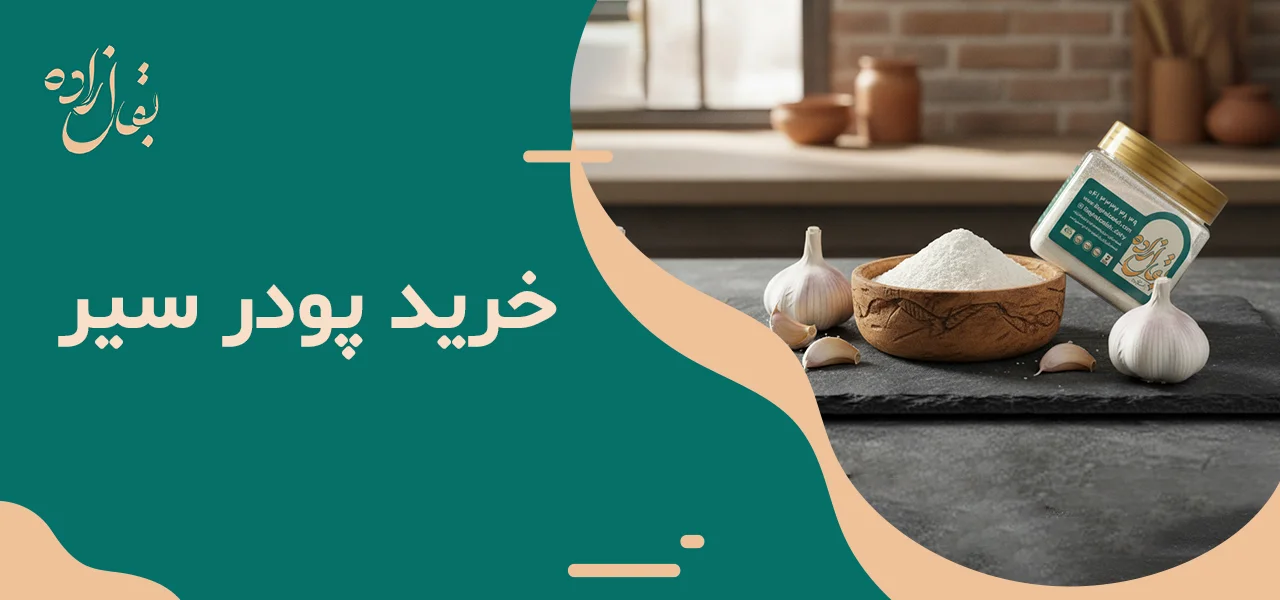 خرید پودر سیر