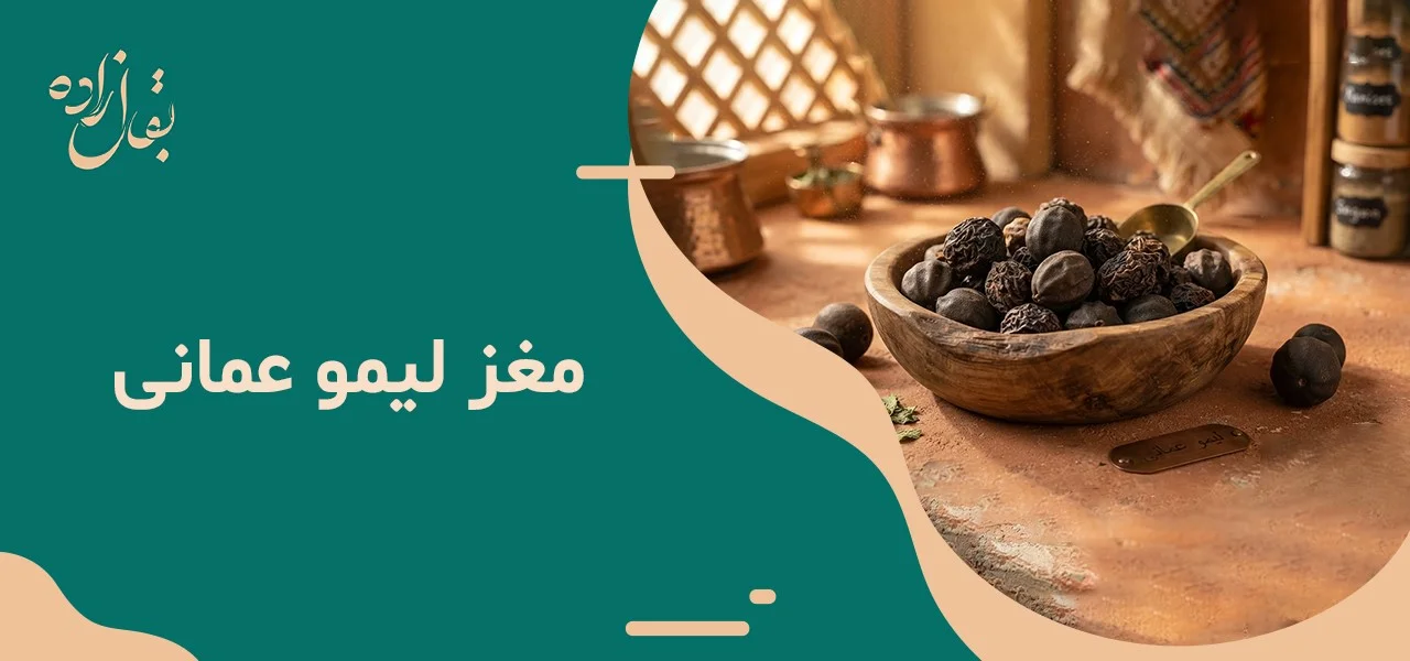 مغز لیمو عمانی 4 مغز لیمو عمانی